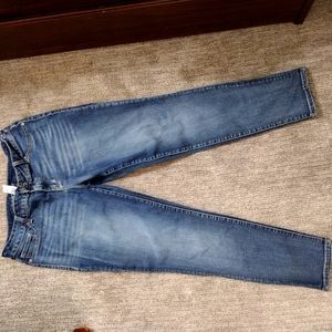 Maurices Short XL Jeans